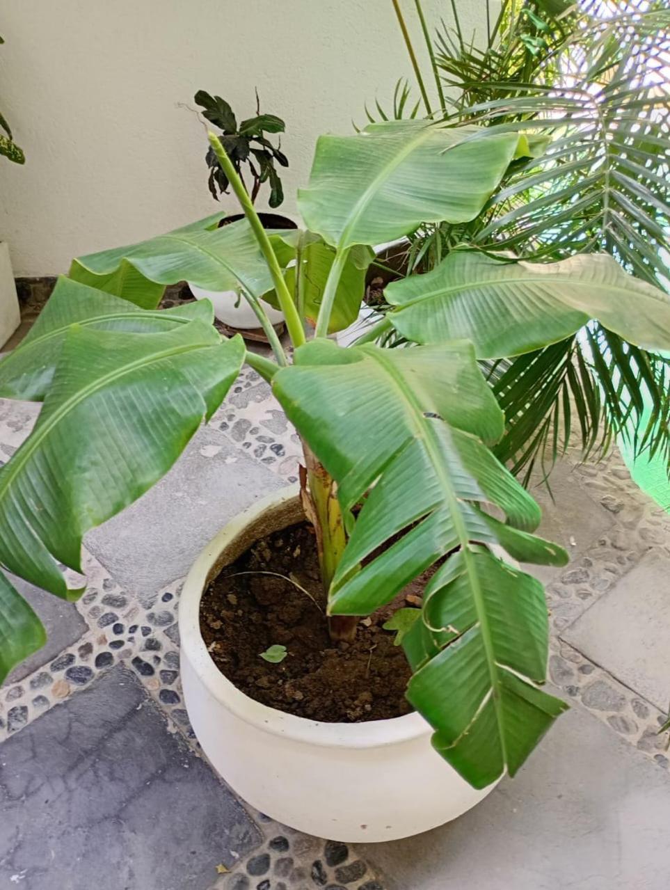 סנטה מרתה Casa Verde Hotel מראה חיצוני תמונה